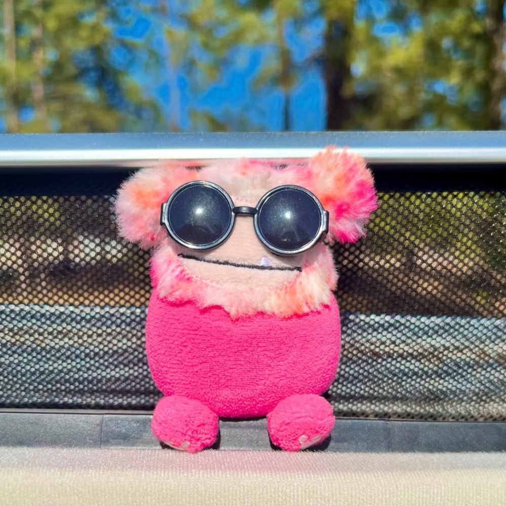 Hailey the Pink BIG FOOT SQUISHVILLE by Squishmallows 3” NWOT 💕🌸💐 - Picture 7 of 16